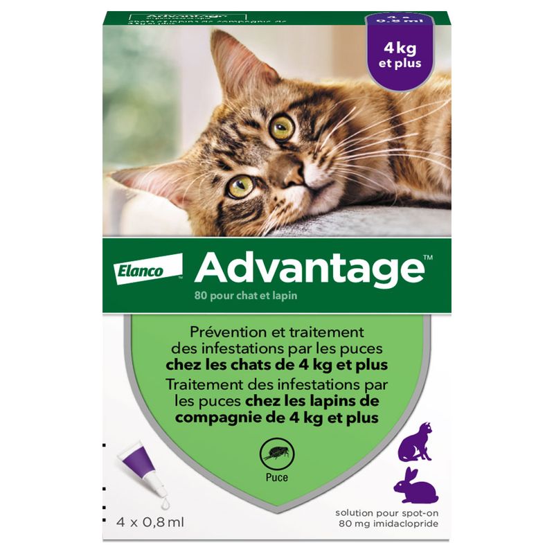 Advantage chat et lapin de plus de 4kg - Titi&co