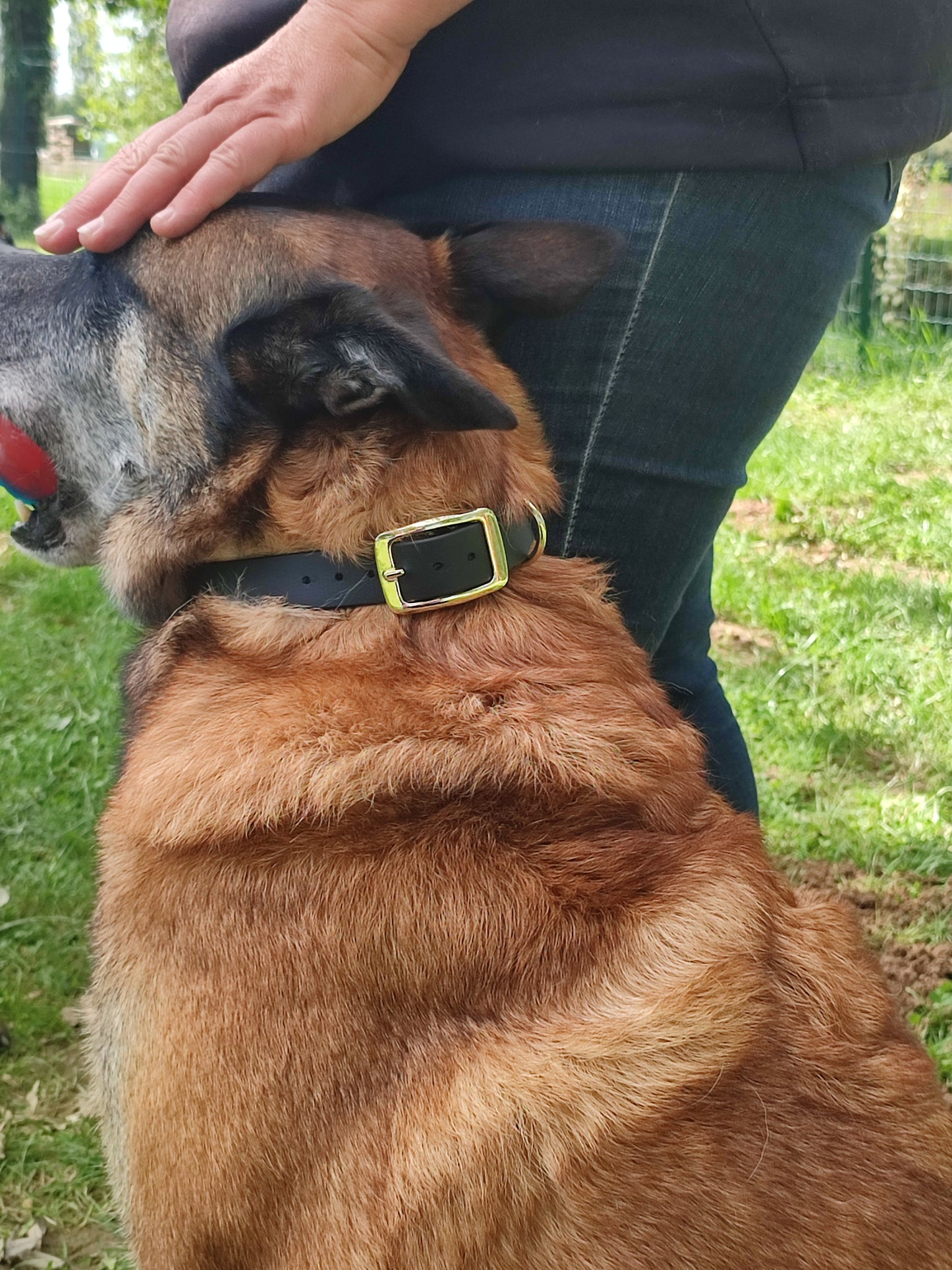 Collier en Biothane chat - Titi&co