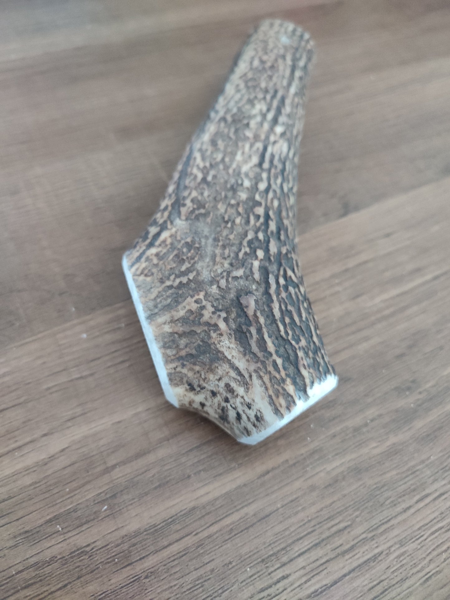 bois de cerf entier - Titi&co