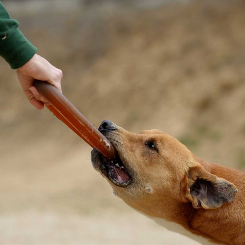 Jouet pour chien Rub Bite - Titi&co