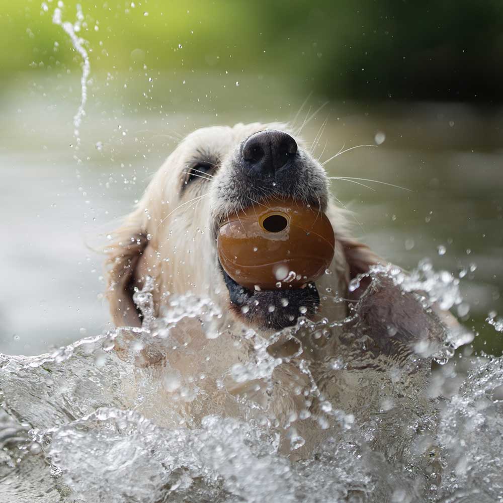 Jouet pour chien Rub Ball - Titi&co