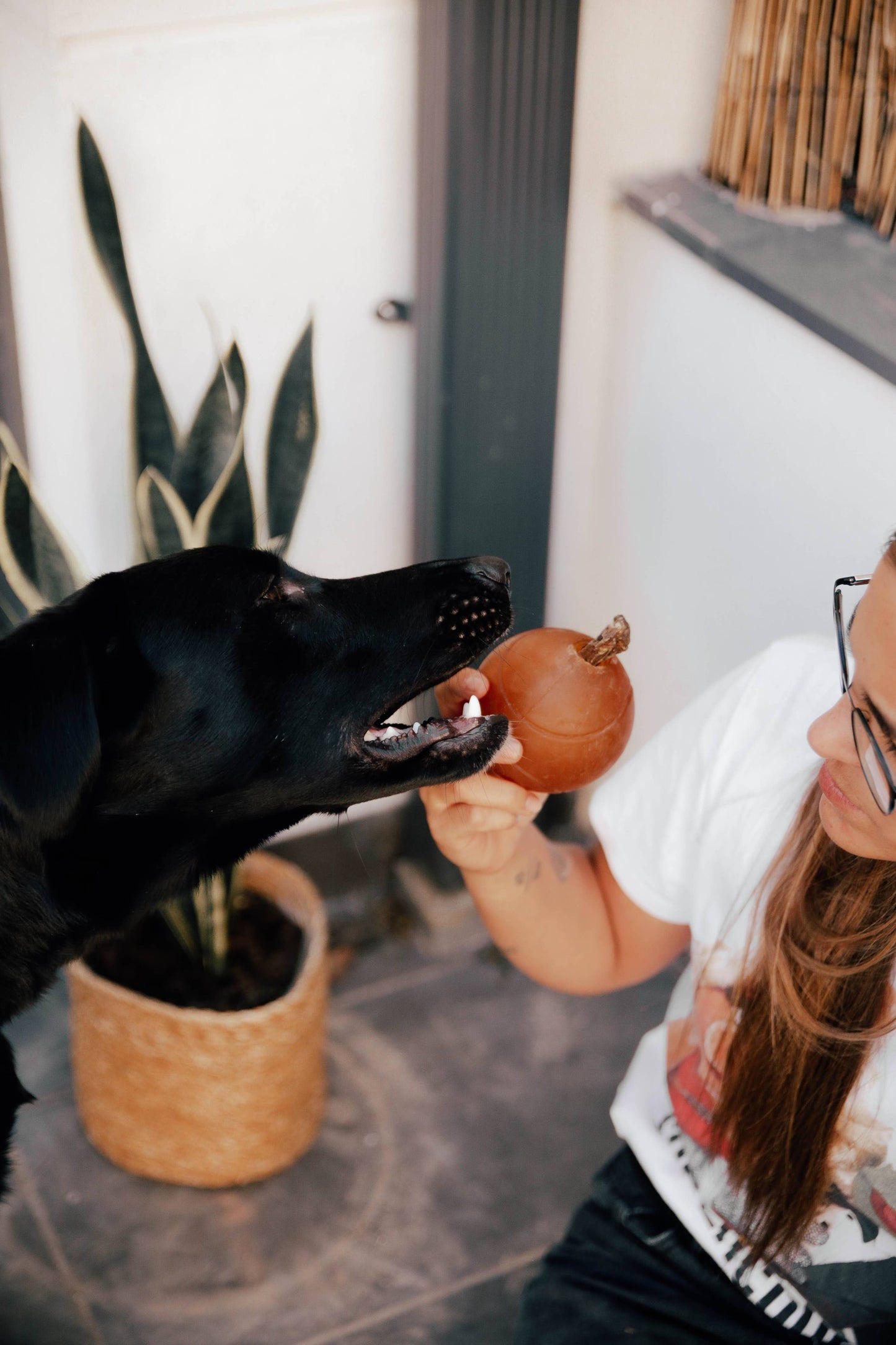 Jouet pour chien Rub Ball - Titi&co