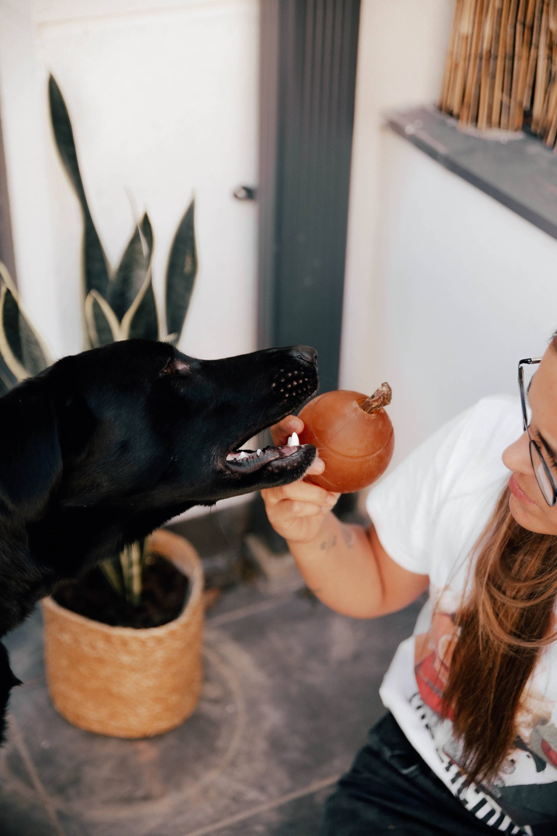 Jouet pour chien Rub Ball - Titi&co