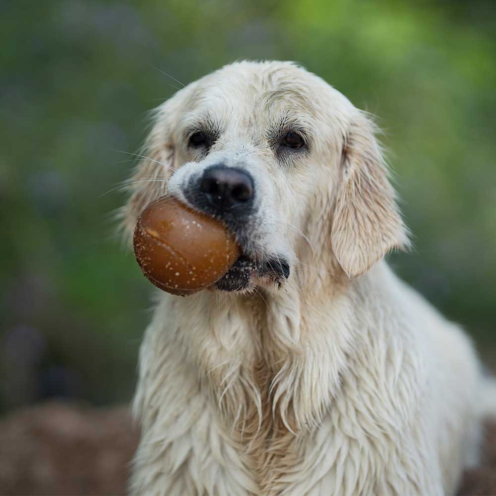 Jouet pour chien Rub Ball - Titi&co