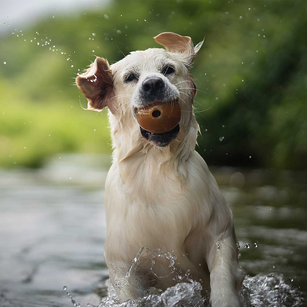 Jouet pour chien Rub Ball - Titi&co